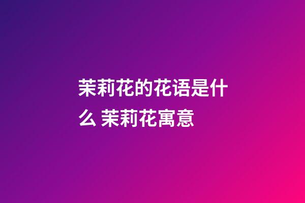 茉莉花的花语是什么 茉莉花寓意